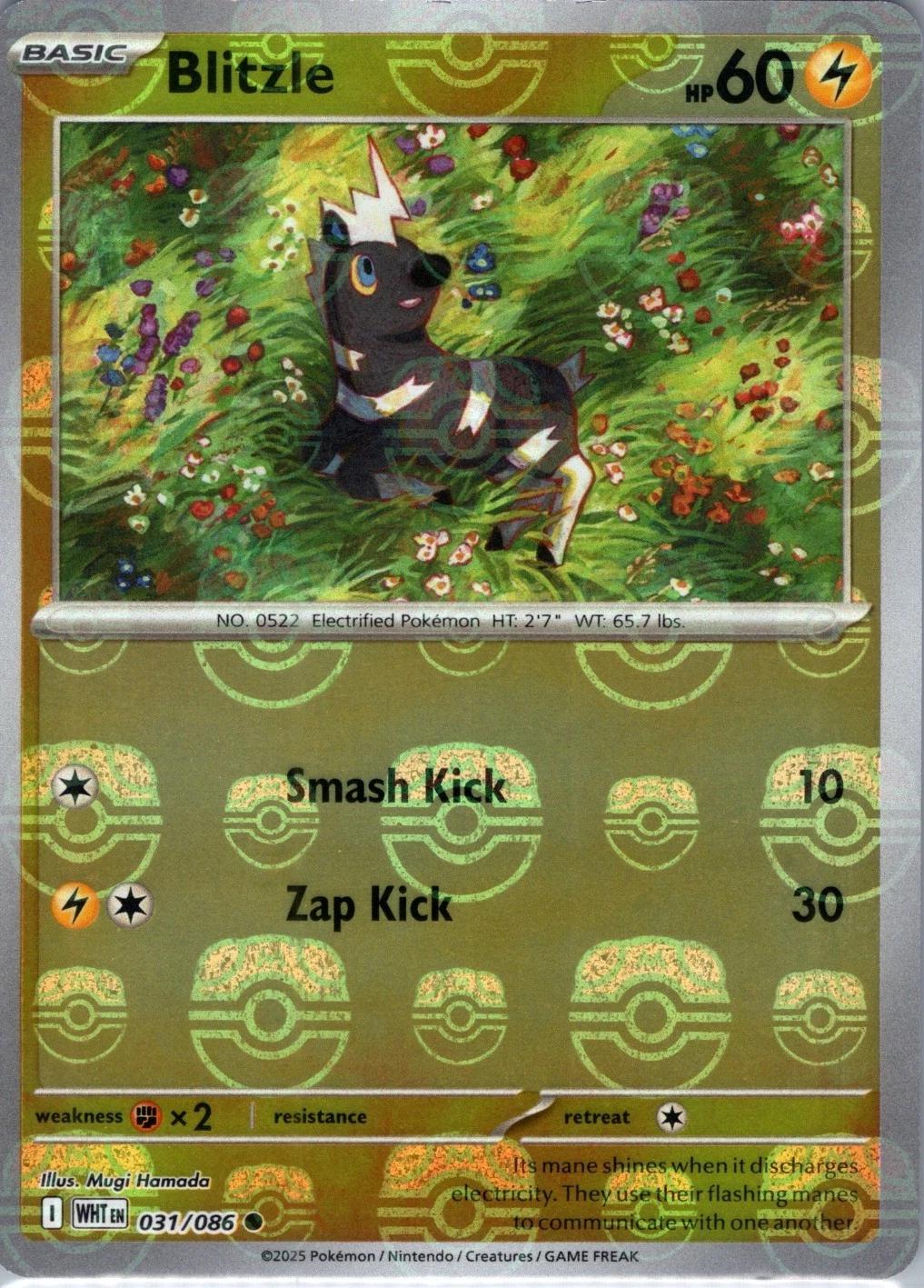 White Flare Blitzle [Master-Ball] Pokémon card